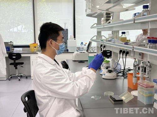 医学实验室中的研究人员工作场景