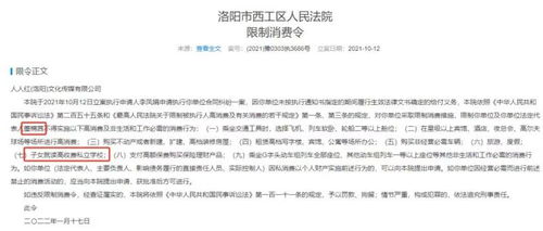 董太太教育课程宣传画面