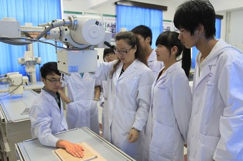 考生咨询医学专业现场