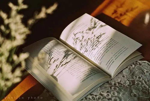 每天阅读的四大好处，原来这才是真正的&ldquo;精神按摩&rdquo;！