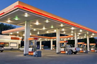 加油站在阳光下的繁忙场景