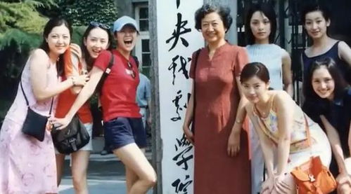 曾黎：我不是中戏两百年美女，但我活得真实自在