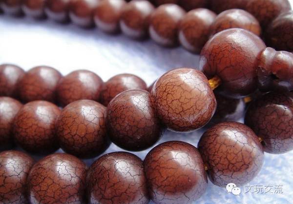 菩提根逐渐变色的过程对比图