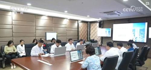 会议室专家在激烈讨论医疗伦理问题