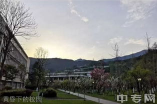 谁的青春爱情不伤感：那些年，我们错过的人和事