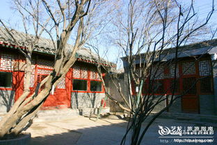 鲁迅儿媳马新云逝世 享年94岁：一个时代的谢幕