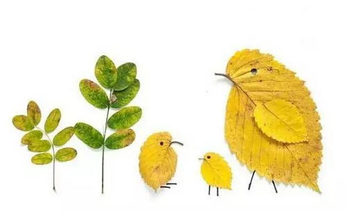 家庭实录：亲子时光｜和孩子一起成长的那些小确幸