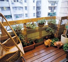 清晨阳台上女孩在浇水