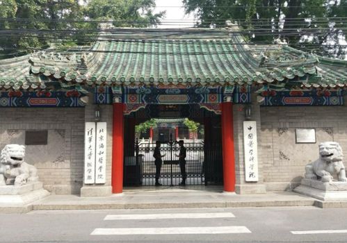 协和4+4博士论文正文仅12页？真相曝光，网友炸锅了！