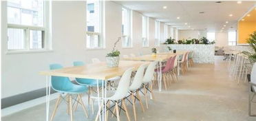 胡锡进发声“董小姐”事件：机会公平不该被忽视？