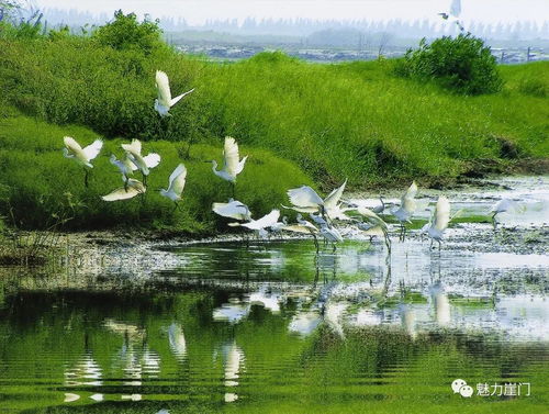 五一请你来这里！我亲测最值得打卡的5个宝藏地推荐