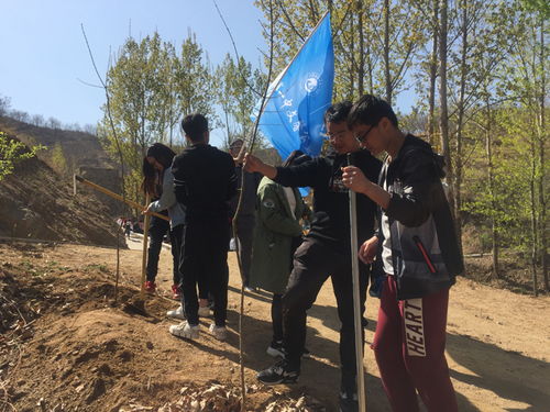 青年群体一起参加户外拓展活动