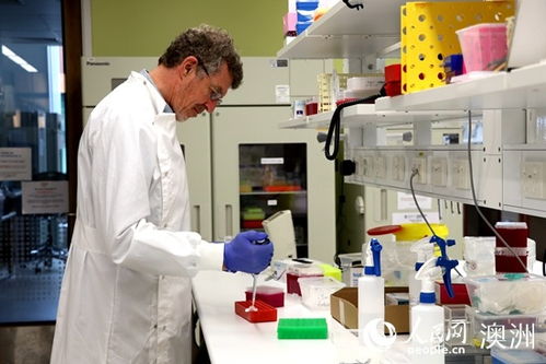 专家解读“4+4”医学培养计划：不是特权，而是高标准的领袖锻造之路！