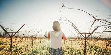 30天自我深度接纳练习🦋第29天：回顾过去28天的感受与变化