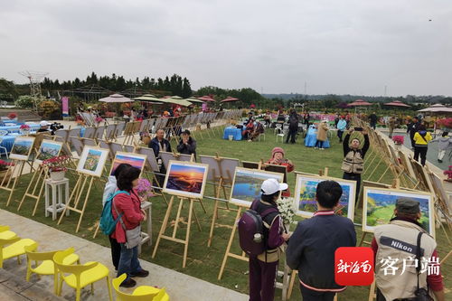 摄影展现场观众观看摄影作品