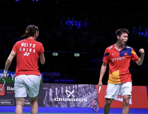 2025苏迪曼杯：我亲历的国羽主场作战全记录