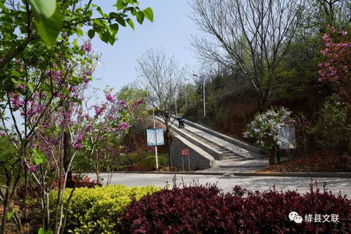 摄影师正在用手机拍鸟