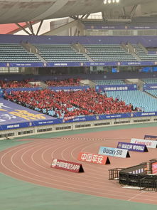 球迷在球场看台抗议