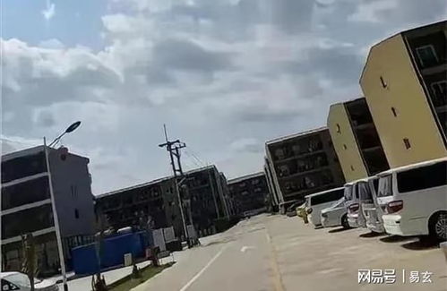 偷渡缅北当打手？现实远比你想象的残酷