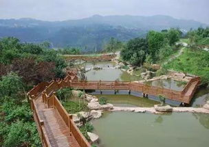 放下“主动羞耻”，才能轻装简行 | 我的极简生活觉醒之旅