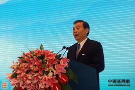 企业家在公开场合发言场景