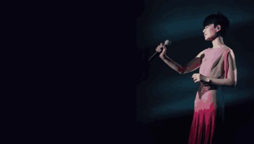 刘德华开演唱会舞台照