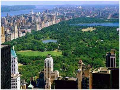 一位年轻人站在阳台俯瞰城市清晨的景象