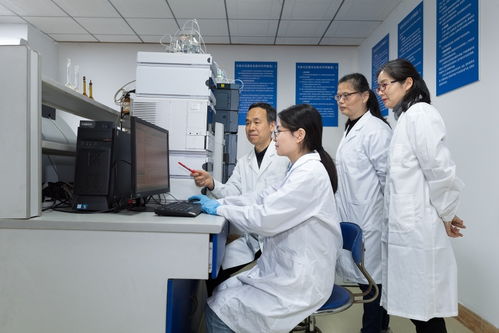 医学实验室里的研究人员正在进行实验