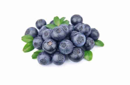 蓝莓与番茄食材图