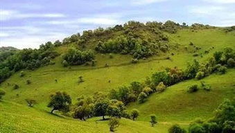 青岚山国家森林公园山顶风景