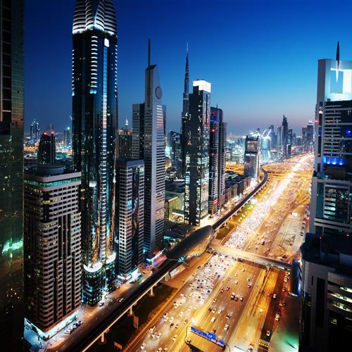 现代都市中的大鹏剪影