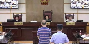 董某莹父亲是国企总经理？真相浮出水面，官方回应引热议