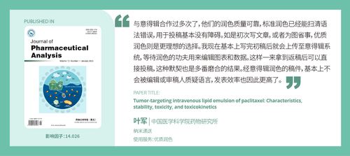 润色前后对比示例