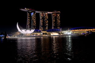 新加坡市容夜景图