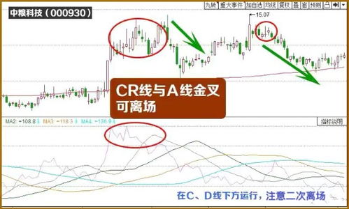 黄金与股市的波动对比