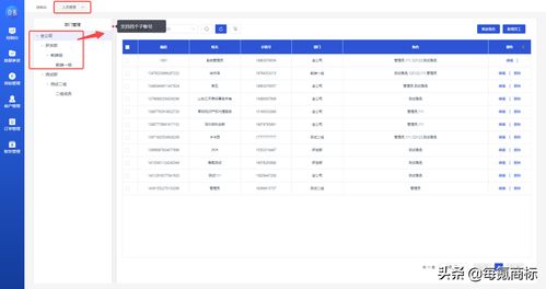 商标管理系统：高效报表功能揭秘！