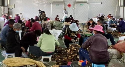 一季度全国社会物流总额91万亿，抖音为何成中小商家新引擎？