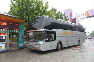 男子不玩自费项目竟被扔山里？亲身经历曝光，旅游陷阱太可怕！