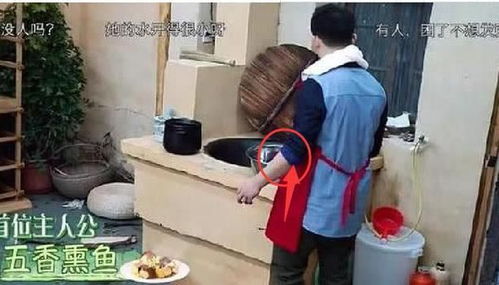 黄磊在向往的生活做饭画面