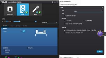 语音设置界面示例
