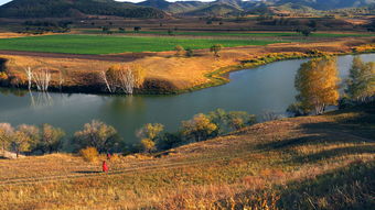 夕阳下的山林秋景