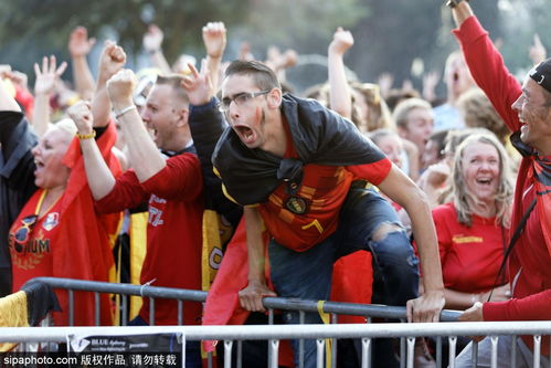 球迷庆祝瞬间