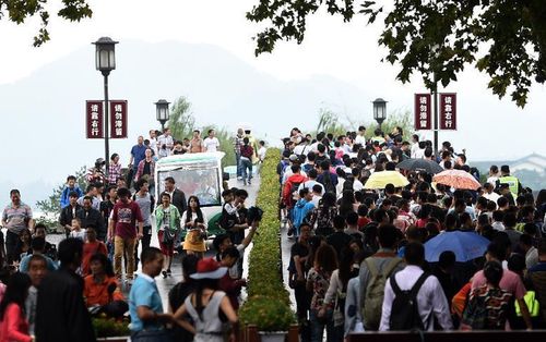 西湖断桥设置花箱隔离栏