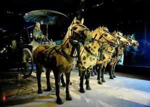 兵马俑检票前站满人，环球影城人山人海，五一假期我亲历的‘流量密码’