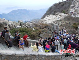 泰山陪爬小伙忙疯了也赚疯了？揭秘年入30万背后的真相！