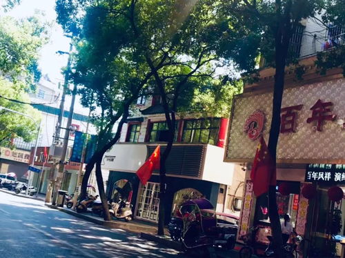 节日气氛浓厚的城市街道