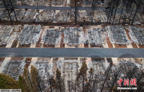 以色列山火过后满目疮痍