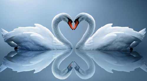 我的天鹅颈养成日记：从圆肩到优雅线条，这些方法你也能做到！