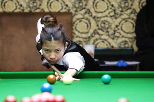 斯诺克世锦赛四强出炉！谁将问鼎谢菲尔德？