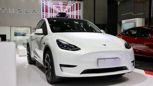 马斯克站在特斯拉车前